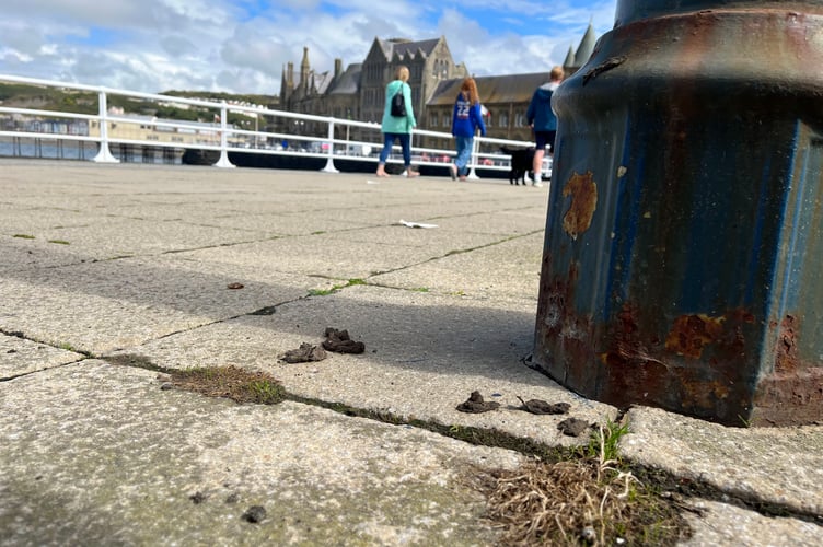 Dirty Old Town - Aberystwyth