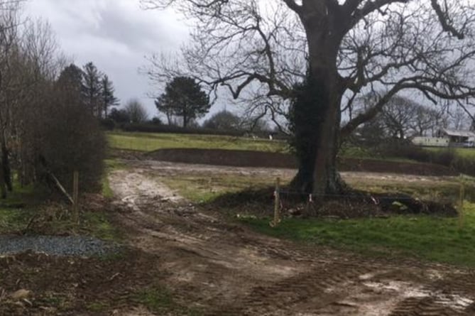 Mature trees and hedges on the Fron Goch Garden Centre site (Gwynedd Council Planning Documents)