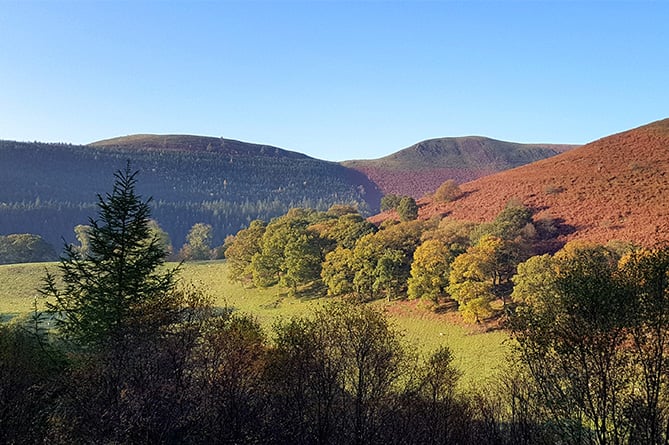 The Cambrian Mountains