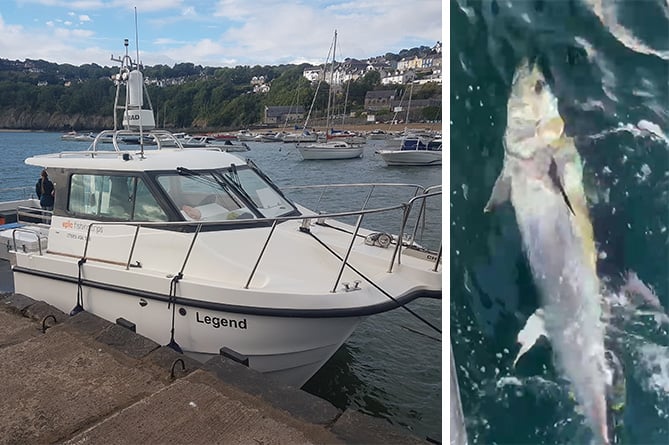 Epic Fishing Boat Trip vessel Legend of New Quay has permission to catch and release bluefin tuna