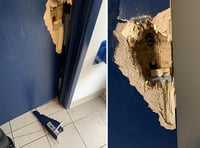 Police appeal in hunt for vandals who damaged public toilets