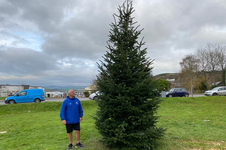 Carl Worrall, Penparcau Christmas tree