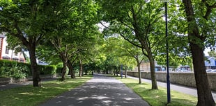 Town council to take over maintenance of green spaces