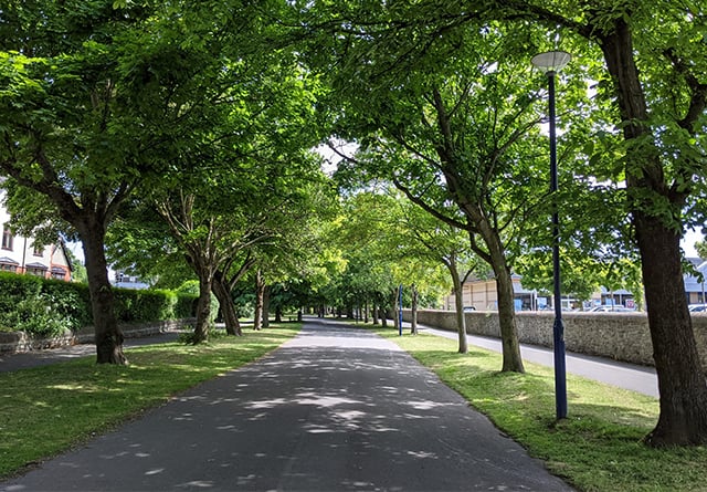 Town council to take over maintenance of green spaces