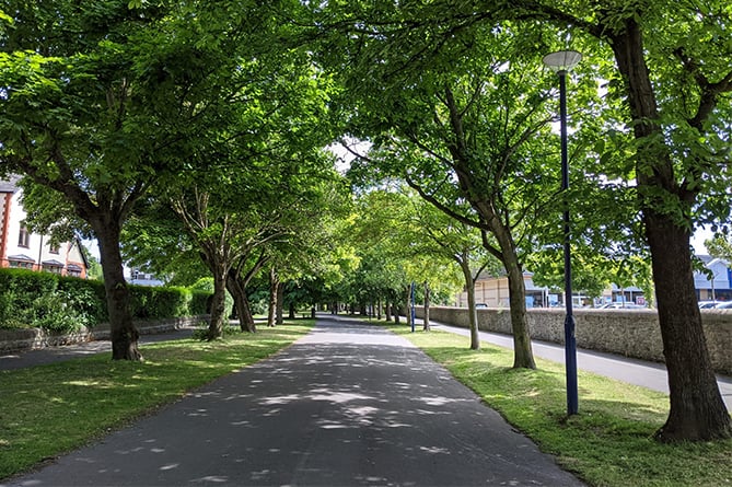 Plascrug Avenue Aberystwyth