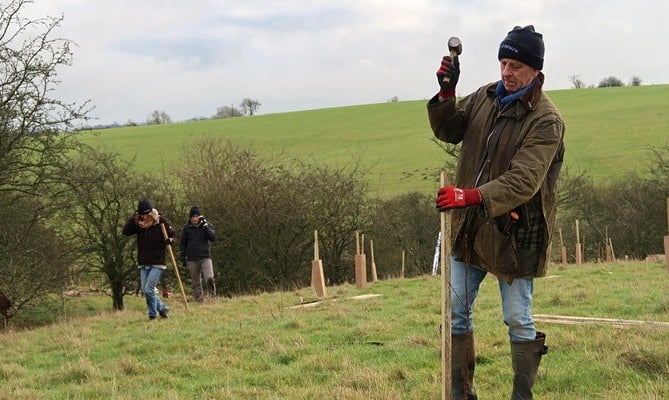 Tree planting in Wales