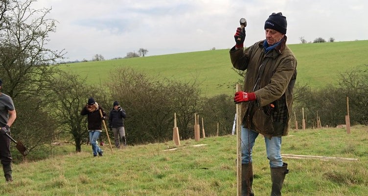 Tree planting in Wales