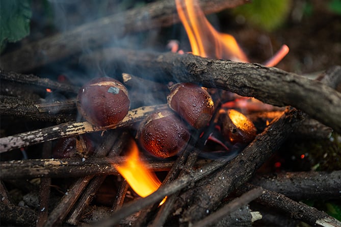 Roasted Chestnuts