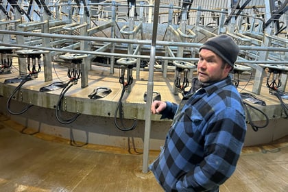 Dairy farmer shares bovine TB concerns