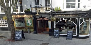 Woman fined for pub assault