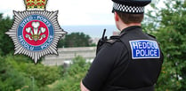 No action taken for 9 in 10 allegations against Dyfed-Powys Police