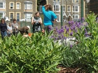 Project to form network of community gardens