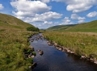 The waiting game for Cambrian Mountains AONB bid