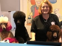 Joanne nominated for Dog Groomer of the Year award