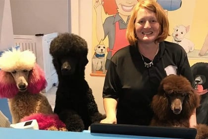 Joanne nominated for Dog Groomer of the Year award
