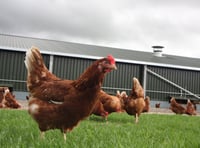 Plans submitted for a self-serve shop on chicken farm