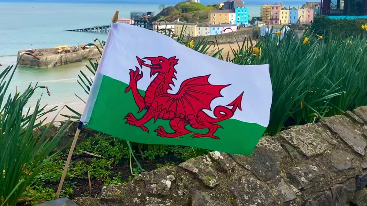 Powys Seeks to Halt Decline of Welsh Speakers with New Strategy