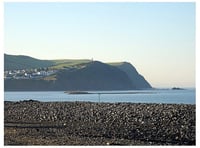 Warning to beach-goers as 53 discarded dog poo bags found  