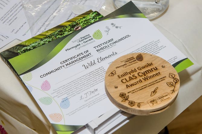 Volunteer/co-founder of Incredible Edible Porthmadog, Charissa Buhler, create the newly designed plaques using reclaimed oak.