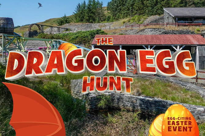 Dragon egg hunt