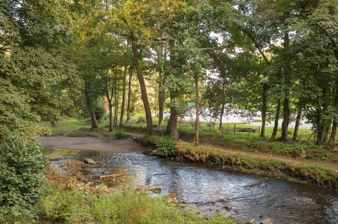 Llanerchaeron Woodlands