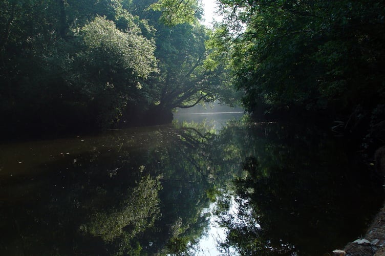 River Teifi