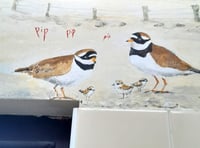 Loo with a view mural has serious wildlife message