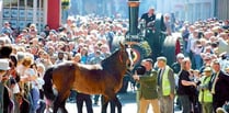 Date set for next Barley Saturday in Cardigan