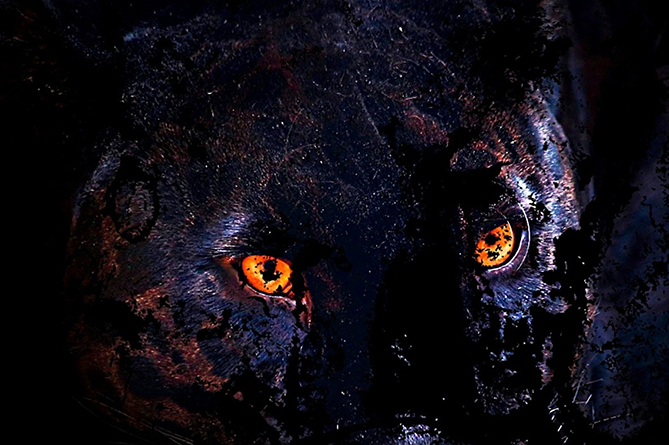 The Power Of The Panther, An Angry Wildcat With Fire And Smoke, Apex  Predator, Generative AI Stock Photo, Picture and Royalty Free Image. Image  199593731.