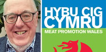 Aberystwyth professor appointed as Hybu Cig Cymru director