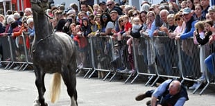 Woman injured after horse bolts at Barley Saturday