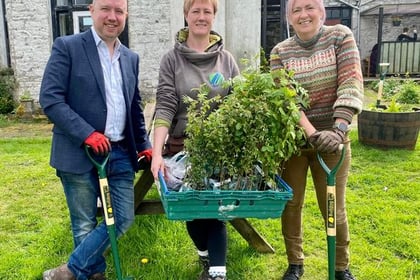 MP and MS plant trees in pub garden