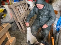 Farmer Wilf still the same despite starring role in film documentary