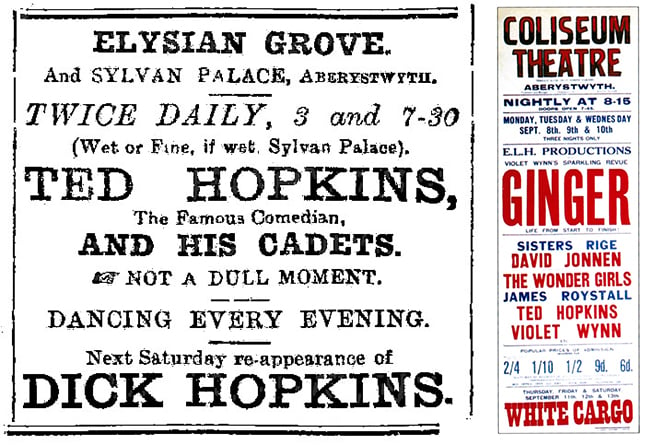 Ted Hopkins advert