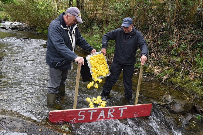 Abergynolwyn Duck Race