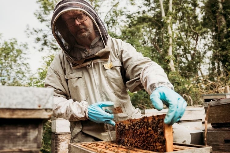 Afon Mêl bees