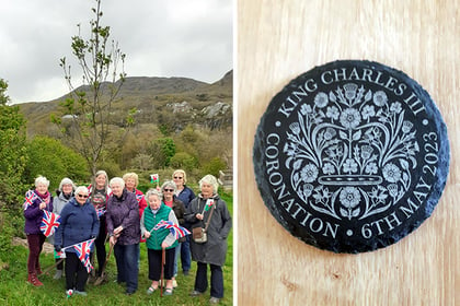 WI members gather to plant tree to mark King Charles coronation