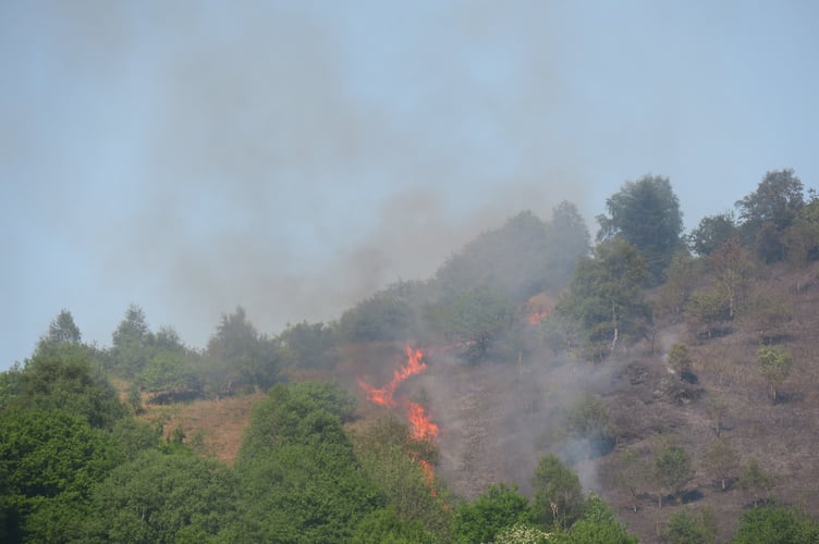 Aberangell wildfire