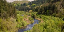 National Trust to set out 10-year plan for Hafod Estate