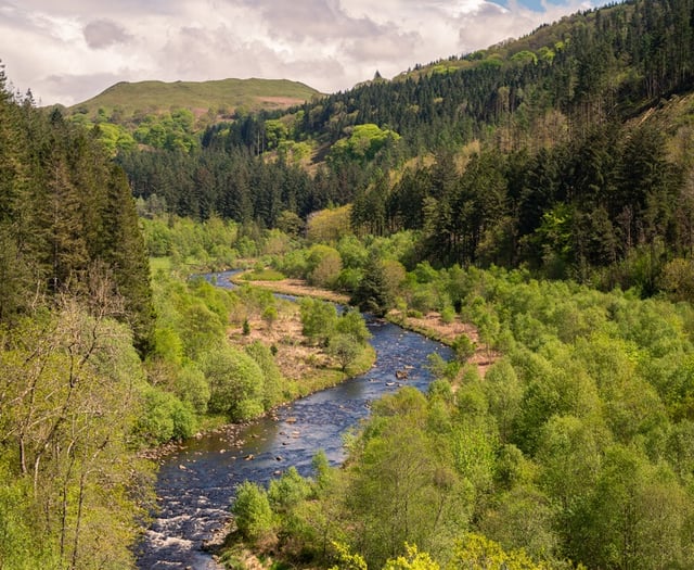 National Trust to set out 10-year plan for Hafod Estate