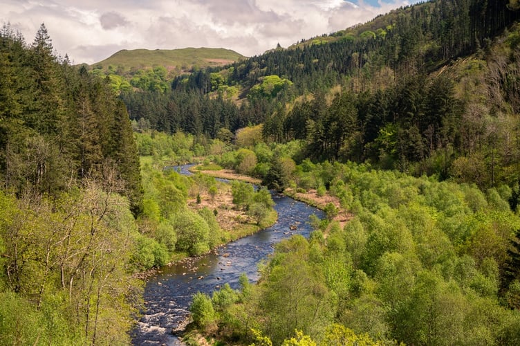 Hafod Estate