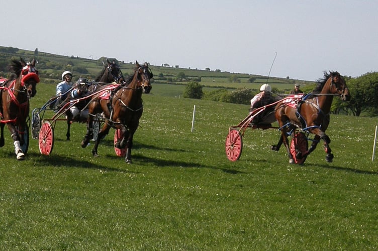 Wales & Border Harness Racing Synod Inn 290523