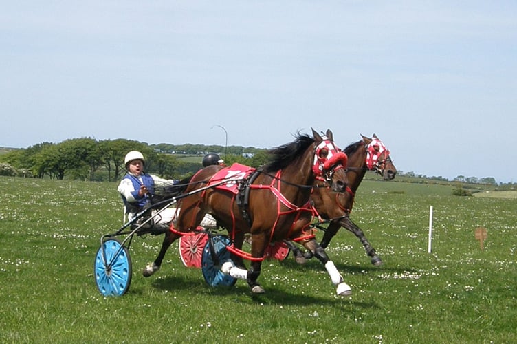 Wales & Border Harness Racing Synod Inn 290523