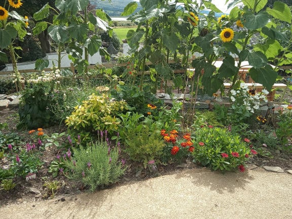 Part of the garden dedicated to those who died from Covid