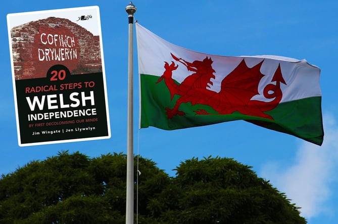 20 Radical Steps to Welsh Independence: By First Decolonising Our Minds