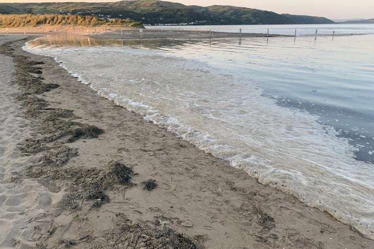 Algal bloom at Ynyslas 