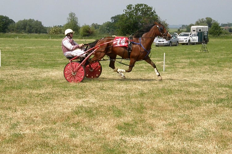 Wales & Border Harness Racing 110623