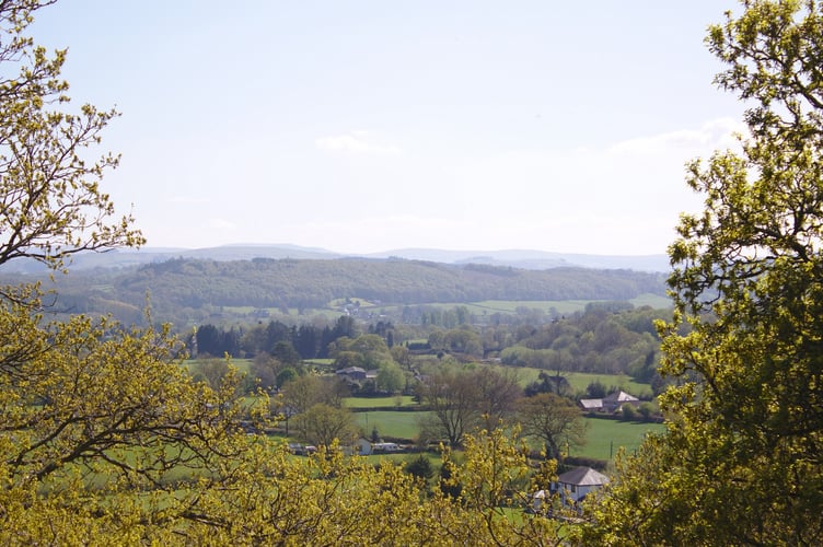 Academics are asking people to share their experience of loneliness in rural areas