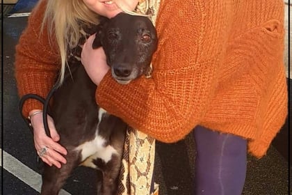 Broken-hearted woman set up centre for greyhounds