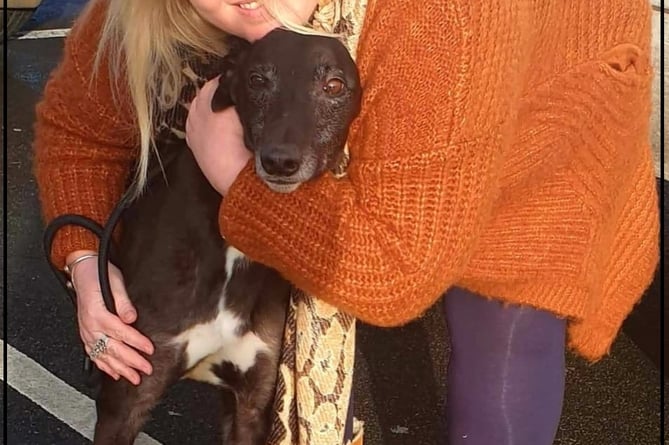 Hayley set up a centre to care for and rehome greyhounds